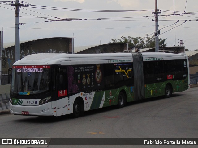 Next Mobilidade - ABC Sistema de Transporte 8183 na cidade de Santo André, São Paulo, Brasil, por Fabrício Portella Matos. Número da foto: #11929094.