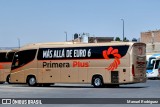 Primera Plus 5394 na cidade de León, Guanajuato, México, por Manuel Rodriguez. Número da foto: #11986382.