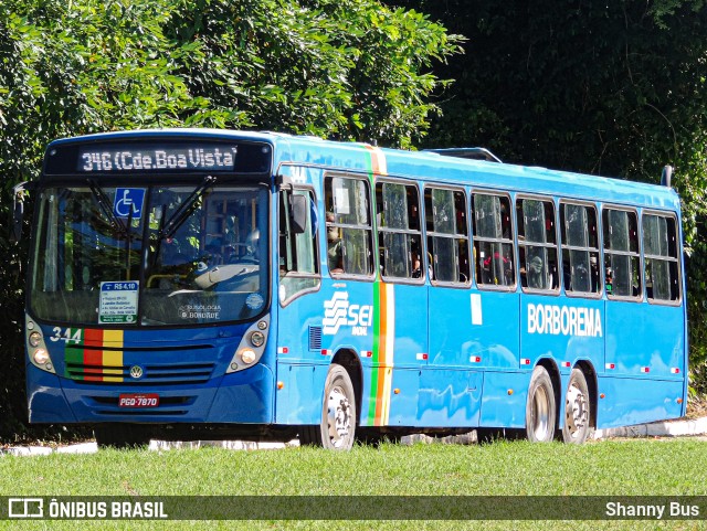 Borborema Imperial Transportes 344 na cidade de Recife, Pernambuco, Brasil, por Shanny Bus. Número da foto: #12007614.