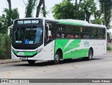 Viação Elite RJ 176.052 na cidade de Barra Mansa, Rio de Janeiro, Brasil, por Danilo  Ribeiro. Número da foto: #12007248.