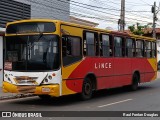 Lince 79 na cidade de San Lorenzo, Central, Paraguai, por Raul Fontan Douglas. ID da foto: :id.