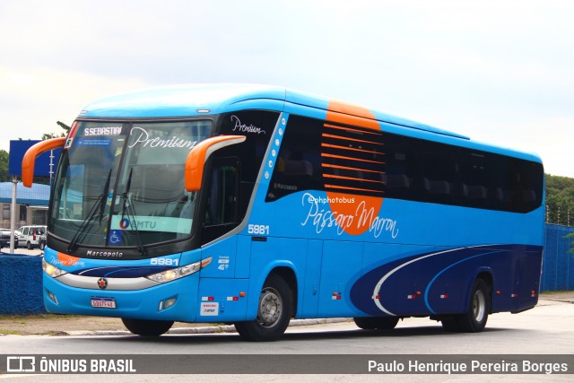 Empresa de Ônibus Pássaro Marron 5981 na cidade de São Paulo, São Paulo, Brasil, por Paulo Henrique Pereira Borges. ID da foto: 12015105.