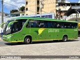 Pássaro Verde 15129 na cidade de Manhuaçu, Minas Gerais, Brasil, por Paulo Eller. Número da foto: #12014232.