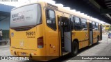 Viação Tamandaré 16801 na cidade de Almirante Tamandaré, Paraná, Brasil, por Busologia Gabrielística. Número da foto: #12019171.