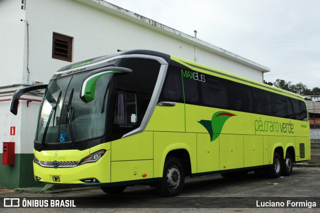 Pássaro Verde 24185 na cidade de Belo Horizonte, Minas Gerais, Brasil, por Luciano Formiga. ID da foto: 12021641.