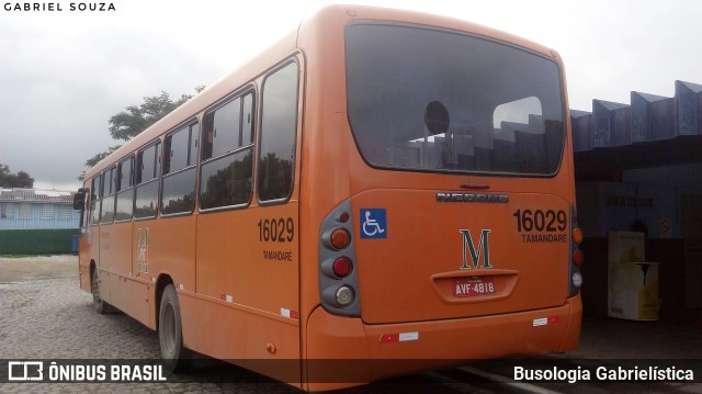 Viação Tamandaré 16029 na cidade de Almirante Tamandaré, Paraná, Brasil, por Busologia Gabrielística. ID da foto: 12023286.