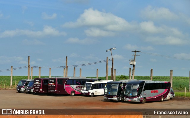 Rosinha Turismo 13000 na cidade de Cândido Mota, São Paulo, Brasil, por Francisco Ivano. Número da foto: #12025315.