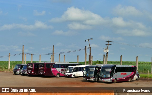 Rosinha Turismo 13000 na cidade de Cândido Mota, São Paulo, Brasil, por Francisco Ivano. ID da foto: 12025315.