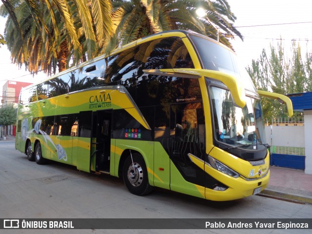 Buses Tepual 65 na cidade de Santa Cruz, Colchagua, Libertador General Bernardo O'Higgins, Chile, por Pablo Andres Yavar Espinoza. ID da foto: 12023467.