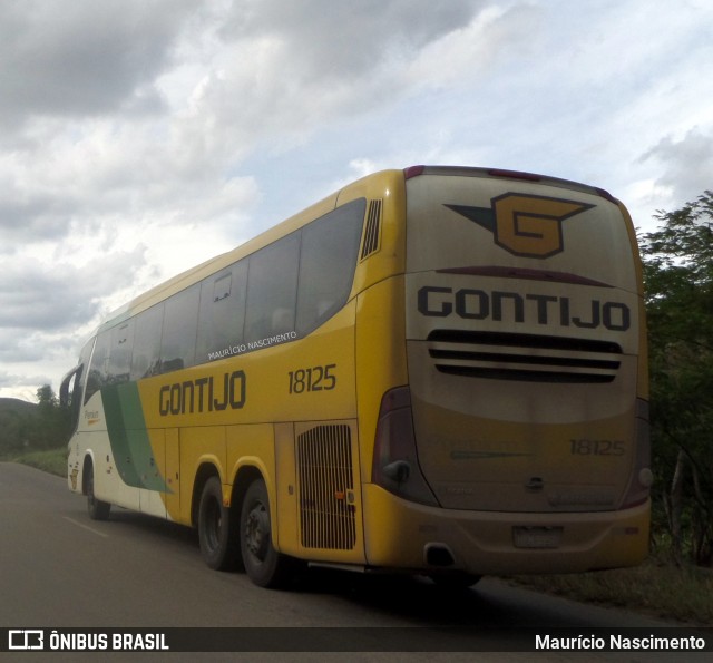 Empresa Gontijo de Transportes 18125 na cidade de Pedra Azul, Minas Gerais, Brasil, por Maurício Nascimento. ID da foto: 12025425.