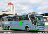 Pássaro Verde 24186 na cidade de Belo Horizonte, Minas Gerais, Brasil, por Rafael Cota Filho. Número da foto: #12027435.