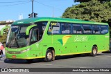 Pássaro Verde 15131 na cidade de Belo Horizonte, Minas Gerais, Brasil, por José Augusto de Souza Oliveira. Número da foto: #:id.