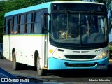 Ônibus Particulares 2E22 na cidade de Nazaré da Mata, Pernambuco, Brasil, por Edjunior Sebastião. Número da foto: #12026646.