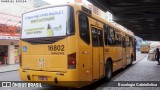 Viação Tamandaré 16802 na cidade de Curitiba, Paraná, Brasil, por Busologia Gabrielística. Número da foto: #12028550.