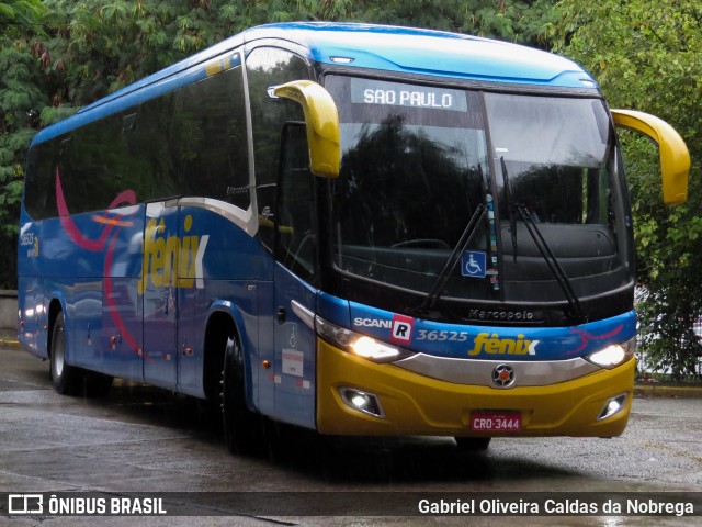 Rápido Expresso Fênix Viação 36525 na cidade de São Paulo, São Paulo, Brasil, por Gabriel Oliveira Caldas da Nobrega. ID da foto: 11988424.