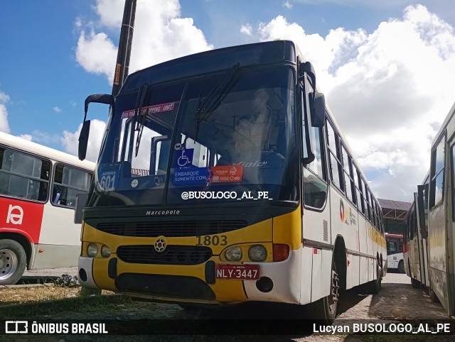 Viação Cidade de Maceió 1803 na cidade de Maceió, Alagoas, Brasil, por Lucyan BUSOLOGO_AL_PE. Número da foto: #12037242.