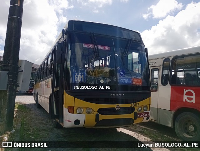 Viação Cidade de Maceió 1803 na cidade de Maceió, Alagoas, Brasil, por Lucyan BUSOLOGO_AL_PE. Número da foto: #12037245.