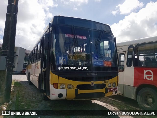 Viação Cidade de Maceió 1803 na cidade de Maceió, Alagoas, Brasil, por Lucyan BUSOLOGO_AL_PE. ID da foto: 12037245.