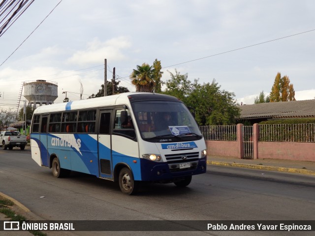 Andibus 78 na cidade de Chépica, Colchagua, Libertador General Bernardo O'Higgins, Chile, por Pablo Andres Yavar Espinoza. ID da foto: 12042560.