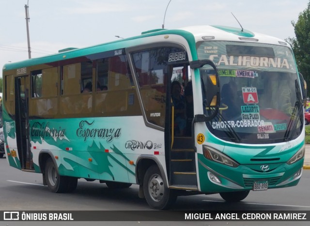 Empresa de Transportes Califórnia S.A 43 na cidade de Trujillo, Trujillo, La Libertad, Peru, por MIGUEL ANGEL CEDRON RAMIREZ. ID da foto: 12041209.