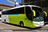 Costa Verde Transportes RJ 217.031 na cidade de Rio de Janeiro, Rio de Janeiro, Brasil, por Paulo Henrique Pereira Borges. Número da foto: #12041636.