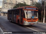 TRANSPPASS - Transporte de Passageiros 8 0981 na cidade de São Paulo, São Paulo, Brasil, por Rafael Lopes de Oliveira. ID da foto: :id.