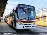 Nortran Transportes Coletivos 6431 na cidade de Porto Alegre, Rio Grande do Sul, Brasil, por Gabriel Cafruni. Número da foto: #:id.