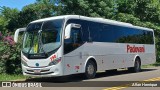 Transporte Padovani 790 na cidade de Paulínia, São Paulo, Brasil, por Allan Henrique. Número da foto: #12045916.