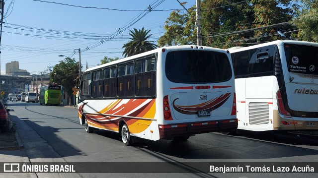 Bupesa 292 na cidade de Estación Central, Santiago, Metropolitana de Santiago, Chile, por Benjamín Tomás Lazo Acuña. Número da foto: #12053417.