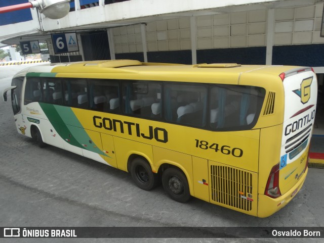 Empresa Gontijo de Transportes 18460 na cidade de Aparecida, São Paulo, Brasil, por Osvaldo Born. Número da foto: #12056817.