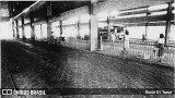 Terminais Rodoviários e Urbanos TERMINAL RODOVIÁRIO DE BELÉM na cidade de Belém, Pará, Brasil, por Erwin Di Tarso. Número da foto: #12055681.