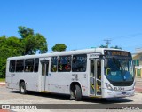 Auto Viação São José dos Pinhais EL330 na cidade de Curitiba, Paraná, Brasil, por Rafael Cota. Número da foto: #12056255.