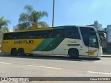 Empresa Gontijo de Transportes 15075 na cidade de Ipatinga, Minas Gerais, Brasil, por Celso ROTA381. Número da foto: #12060838.