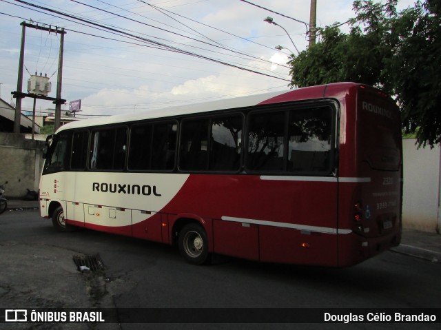 Rouxinol 2320 na cidade de Sabará, Minas Gerais, Brasil, por Douglas Célio Brandao. Número da foto: #12063006.