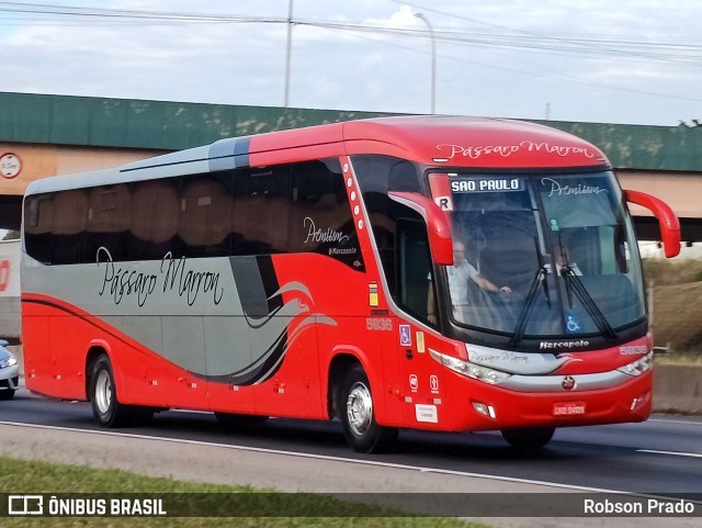 Empresa de Ônibus Pássaro Marron 5936 na cidade de São José dos Campos, São Paulo, Brasil, por Robson Prado. Número da foto: #12062477.