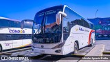 Pullman Lago Peñuelas TJJG51 na cidade de Valparaíso, Valparaíso, Valparaíso, Chile, por Nicolas Ignacio Raiko. Número da foto: #:id.