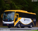 Viação Progresso 30305 na cidade de Petrópolis, Rio de Janeiro, Brasil, por Victor Henrique. Número da foto: #12062659.