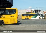 Empresa Gontijo de Transportes 7065 na cidade de Juiz de Fora, Minas Gerais, Brasil, por Welison Oliveira. Número da foto: #12062810.