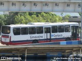 Empresa de Transportes Limousine Carioca RJ 129.003 na cidade de Rio de Janeiro, Rio de Janeiro, Brasil, por Marlon Mendes da Silva Souza. Número da foto: #:id.