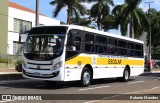 Prefeitura Municipal de Marília 775 na cidade de Marília, São Paulo, Brasil, por Roberto Mendes. Número da foto: #11995187.