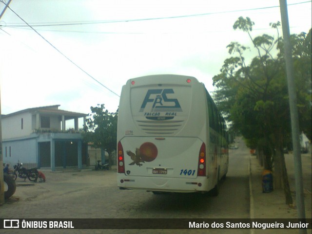 Falcão Real 1401 na cidade de Piritiba, Bahia, Brasil, por Mario dos Santos Nogueira Junior. Número da foto: #12000647.