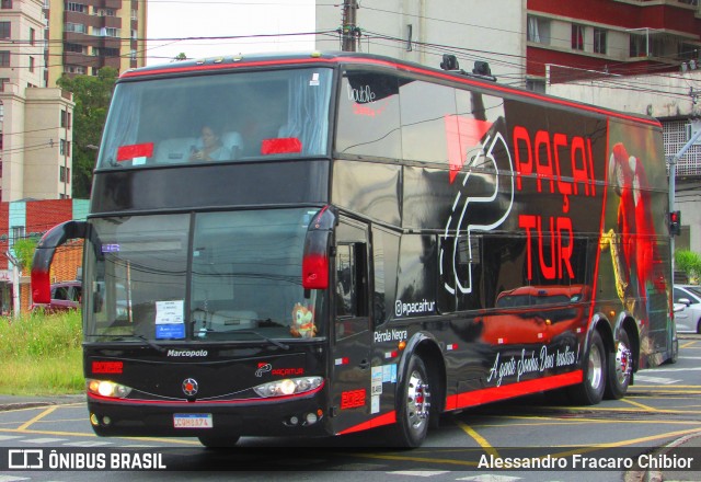 PaçaíTur Transporte e Turismo 2022 na cidade de Curitiba, Paraná, Brasil, por Alessandro Fracaro Chibior. Número da foto: #12003178.
