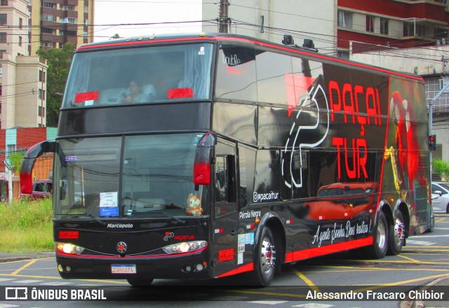 PaçaíTur Transporte e Turismo 2022 na cidade de Curitiba, Paraná, Brasil, por Alessandro Fracaro Chibior. ID da foto: 12003178.