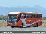 Empresarios Unidos de Puntarenas 14 na cidade de Alajuela, Alajuela, Costa Rica, por Andrés Martínez Rodríguez. Número da foto: #12003752.