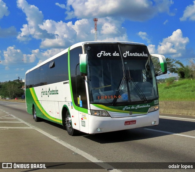 Flor da Montanha Transportes e Turismo 1230 na cidade de Caçapava, São Paulo, Brasil, por odair lopes. Número da foto: #12065543.