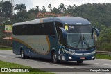Bia Turismo > Aellos de Ouro 8215 na cidade de Santa Isabel, São Paulo, Brasil, por George Miranda. Número da foto: #12064935.