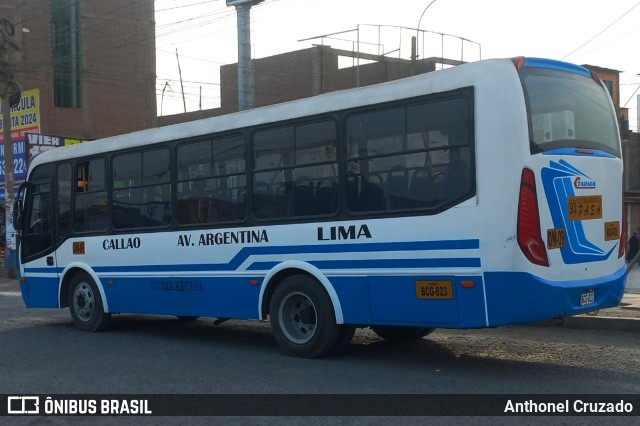 Perla Argentina - PASA na cidade de Carabayllo, Lima, Lima Metropolitana, Peru, por Anthonel Cruzado. Número da foto: #12087100.
