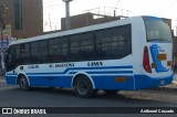 Perla Argentina - PASA  na cidade de Carabayllo, Lima, Lima Metropolitana, Peru, por Anthonel Cruzado. Número da foto: #12087100.