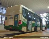 Viação Capital do Oeste 6665 na cidade de Cascavel, Paraná, Brasil, por Carlos Campos. Número da foto: #12087291.