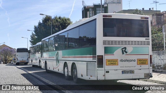 Ribatejana 0685 na cidade de Lisbon, Lisbon, Portugal, por César de Oliveira. Número da foto: #12089920.